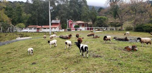 Gallery image of Casa de campo 2 bela Wifi in Urubici