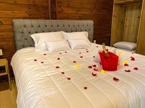 a bed with a bunch of hearts on it at Chalé Miragem dos Canyons in Praia Grande