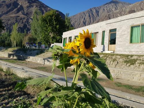 a sunflower sitting in front of a building at Ehsan-e-Bassi in Gilgit