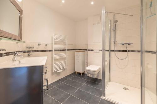 a bathroom with a shower and a toilet and a sink at Alte Fischfabrik Lauterbach "MoinMoin" in Lauterbach