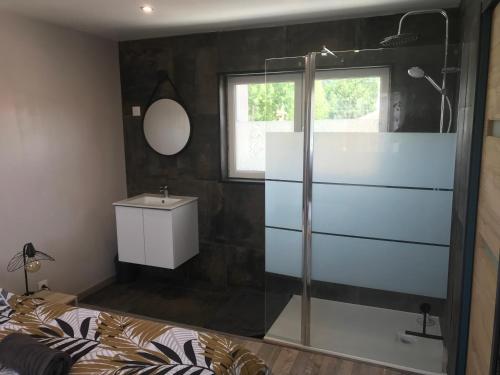 ein Bad mit einer Dusche und einem Waschbecken in der Unterkunft Appartement neuf avec jardin privatif in Périgueux