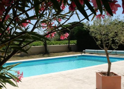 Bazén v ubytování Maison d´hôtes Le Mas des Vignes nebo v jeho okolí