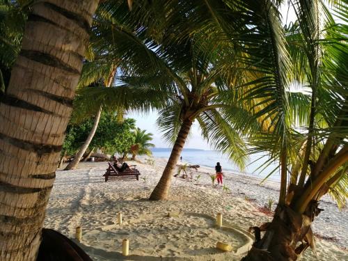 a beach with palm trees and people sitting on a bench at white coral beach resort in Havelock Island