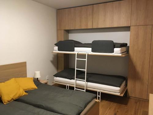 a room with two bunk beds and a bed at Apartmán u sjezdovky in Filipovice