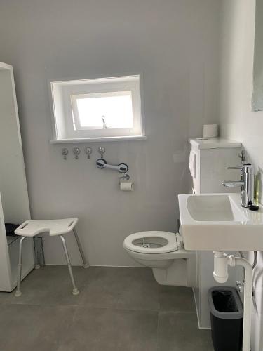 a white bathroom with a toilet and a sink at Benbijdokkum in Driesum