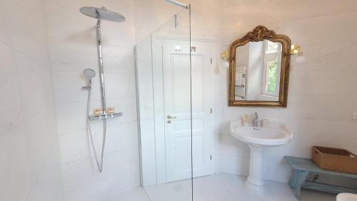 ein Bad mit einer Dusche, einem Waschbecken und einem Spiegel in der Unterkunft Chambres d'Hôtes du Marché aux Grains in Bouxwiller