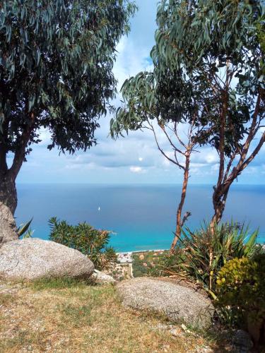 a view of the ocean from a hill with trees at Villa Panorama in Zambrone