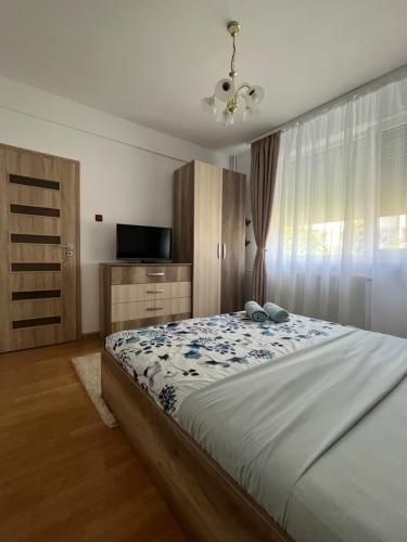 a bedroom with a large bed and a television at Apartament Andrei Baile Felix in Baile Felix