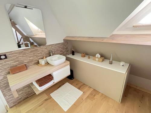 a bathroom with a sink and a mirror at L'Orée de Giverny in Limetz
