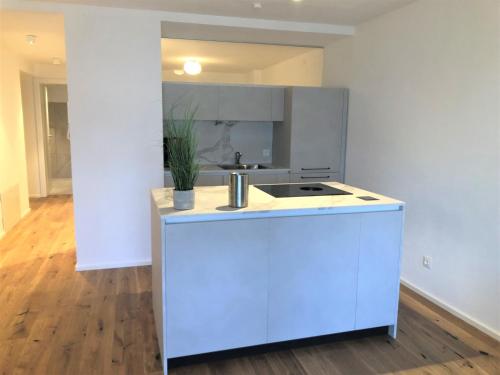 a white kitchen with a sink and a stove at Vergiss mein nicht in Grinzens