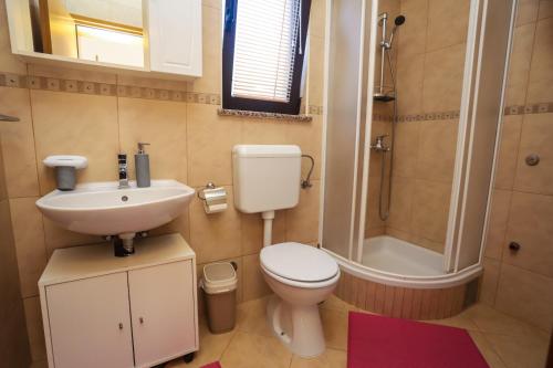 a bathroom with a toilet and a sink and a shower at Apartment Nina with private pool in Nova Vas