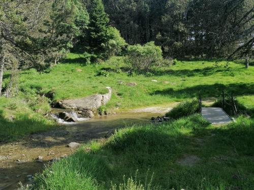 a path through a grassy field with a creek at Le Ranch du Madres in Roquefort-de-Sault