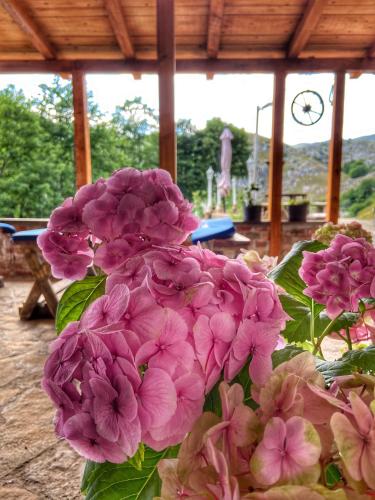 a bunch of pink flowers sitting on a table at Konak Umoljani in Umoljani