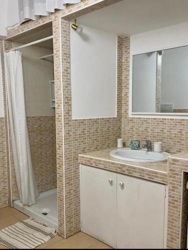 a bathroom with a shower and a sink and a mirror at Casa Ester in Preganziol