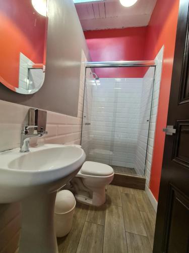 Un baño de Flying Dog Lima B&B