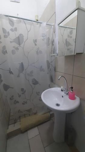 a bathroom with a sink and a shower with a mirror at Au Plais De Langebaan at Palm Tree Villa in Langebaan