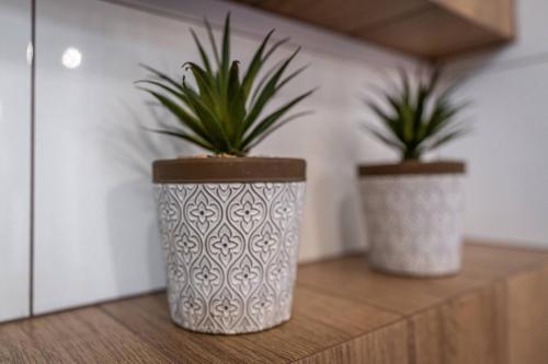 two potted plants sitting on top of a wooden shelf at Dworek nad Jałowcami z Jacuzzi in Biały Dunajec