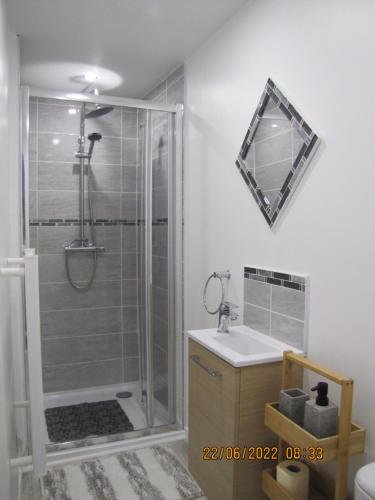 a bathroom with a shower and a sink and a mirror at C'est la vie in Saint-Malo-des-Trois-Fontaines