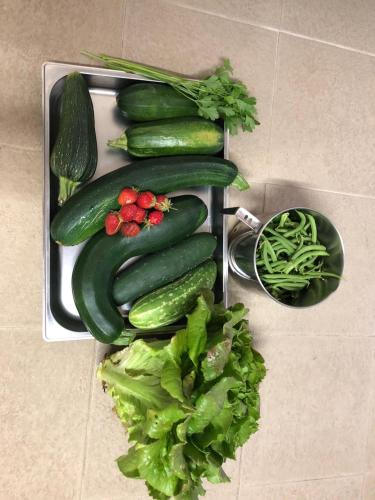 a tray of cucumbers and other vegetables on a counter at Gîte de la Besnardière in Mareuil-sur-Cher