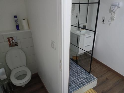 a bathroom with a toilet and a walk in shower at Chambre indépendante en plein centre Ville in Roye