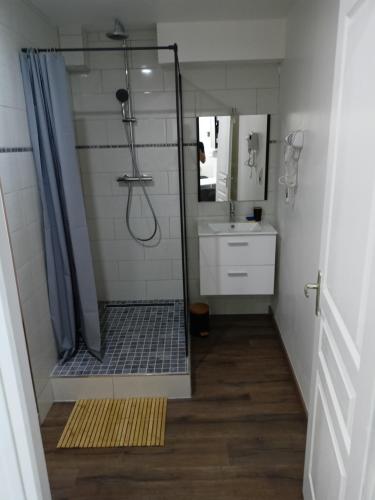 a bathroom with a shower and a sink at Chambre indépendante en plein centre Ville in Roye
