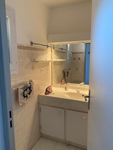 une salle de bain avec un lavabo et un miroir dans l'établissement Coudoulière vue mer, à Six-Fours-les-Plages