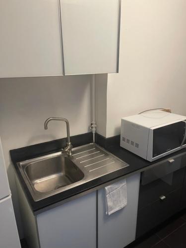 uma cozinha com um lavatório e um micro-ondas no balcão em Studio Élysées em Paris
