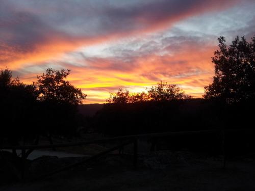 a sunset in the sky with trees in the foreground at Apartamentos Paraje San Gines in Andújar