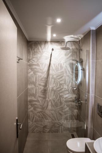 a bathroom with a shower and a toilet at To Petrino (VIlla Markos) in Parga