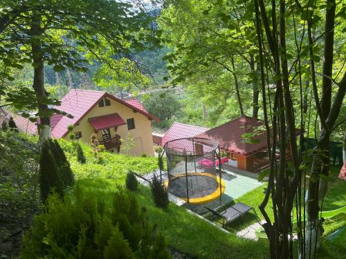 Taman di luar Cazare la munte Comarnic