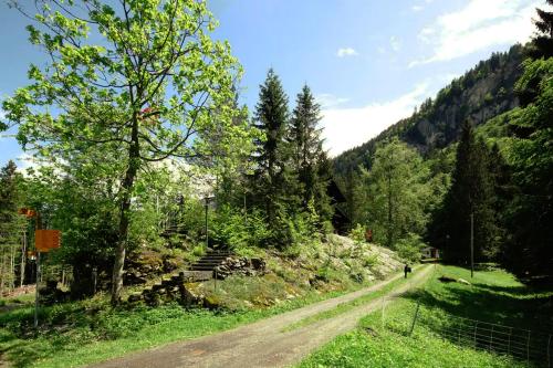 a dirt road in the middle of a mountain at Kunst- und Naturfreundehaus Brünig in Lungern