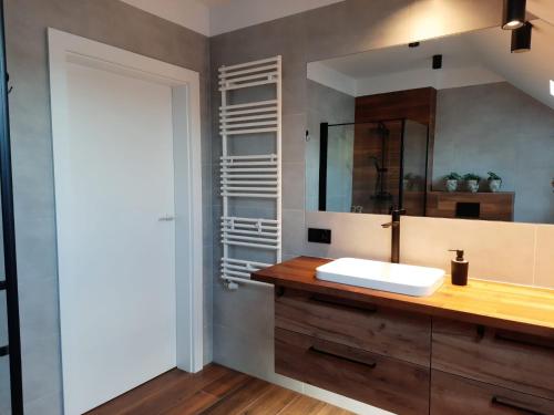 a bathroom with a sink and a mirror at Uroczy apartament z dostępnym parkingiem i ogrodem in Szczytniki