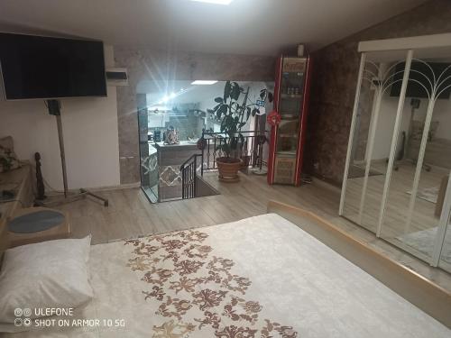 een slaapkamer met een bed en een tv in een kamer bij Casa Lucescu in Vatra Dornei