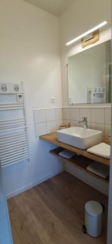 une salle de bain avec un lavabo et un miroir dans l'établissement Les Hauts de Grazac, Chambres et Tables d'hôtes, à Grazac