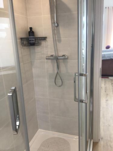 um chuveiro com uma porta de vidro na casa de banho em The Birdhouse with Hot Tub em Gortahork