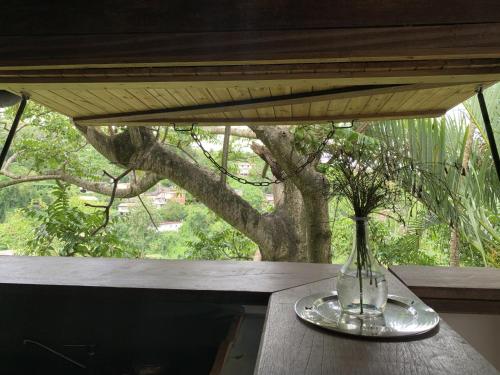 a vase on a table with a tree in the background at mon Ecolodge Creole in Fort-de-France