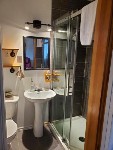 a bathroom with a shower and a sink and a toilet at Motel Abricafé in Stoneham