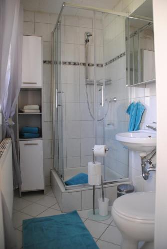 uma casa de banho com um chuveiro, um WC e um lavatório. em Ferienwohnung „von Groppau“ em Böhlen