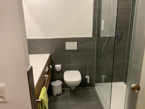 a small bathroom with a toilet and a shower at Gasthaus Sonne in Hohenstadt