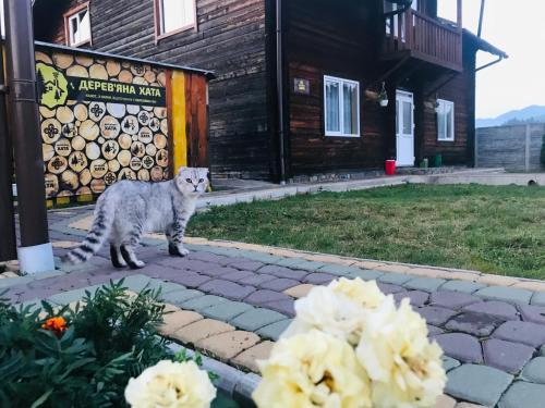 Domácí mazlíčci ubytovaní s hosty v ubytování садиба Дерев*яна Хата