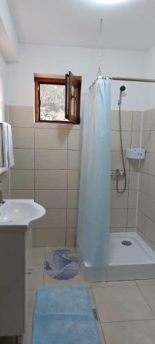 a bathroom with a shower and a sink at Agropensiunea Olteanu in Niculiţel