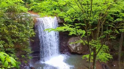 a waterfall in the middle of a forest at Stay In Ohiopyle - closest place to the GAP trail in Ohiopyle, PA, Hot Tub in Ohiopyle