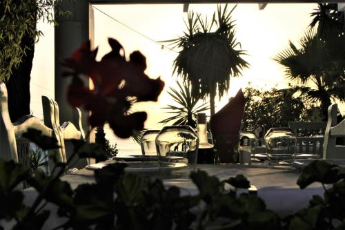 Zahrada ubytování Saranda Hotel