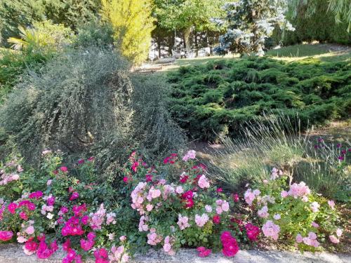 un jardin avec des fleurs roses et de l'herbe dans l'établissement Maison de Marie, à Bléré