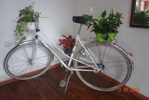 a white bike parked next to a wall with plants at Pensiunea Deceneu in Slănic