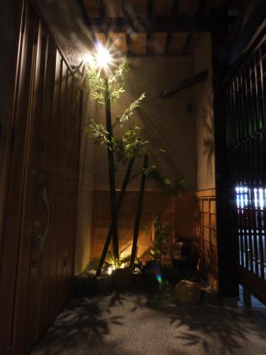 une plante dans une pièce avec une lumière sur le mur dans l'établissement villa-rizo - Vacation STAY 13184, à Hida