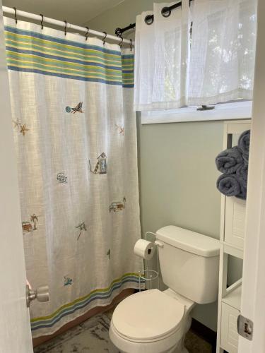a bathroom with a toilet and a shower curtain at Cozy LAKE ONTARIO WATERFRONT Breathtaking Views! in Pulaski