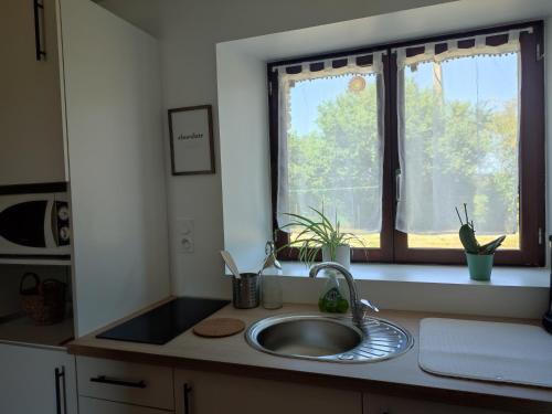 eine Küchentheke mit einem Waschbecken und einem Fenster in der Unterkunft Gîte La Pâquerie in Le Louroux-Béconnais