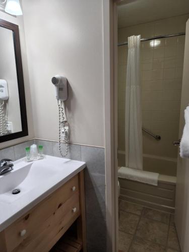 a bathroom with a sink and a shower at McIntosh Country Inn & Conference Centre in Morrisburg