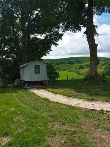 a shed in the middle of a field with a tree at orchard meadow shepherd huts leek-buxton-ashbourne in Upper Elkstone